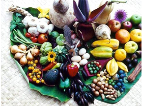 農(nóng)產(chǎn)品溯源系統(tǒng)具有哪些優(yōu)勢(shì)？