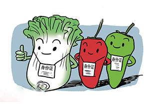 食品追溯系統(tǒng)帶來(lái)的優(yōu)勢(shì)有哪些？